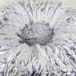 Cama Para Gatos Dona 2 En 1 - Con Túnel - Imagen 4