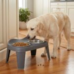 Comedero Doble Para Mascotas, Elevado, Platos Acero Inoxidable - Imagen 8