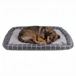 Cama Para Mascotas Rectangular Básica - Tamaño L