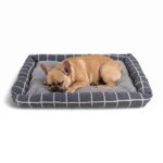 Cama Para Mascotas Rectangular Básica - Tamaño M