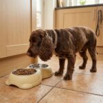 Comedero Doble Para Mascotas, Platos Acero Inoxidable - Imagen 8