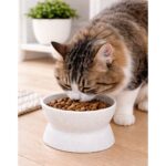 Comedero Para Mascotas Pequeñas - Diámetro 12cm - Imagen 6