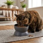 Comedero Para Mascotas Pequeñas - Diámetro 12cm - Imagen 5