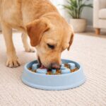 Comedero Lento Para Mascotas, Antiestrés - Circular 19cm - Imagen 8