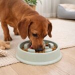 Comedero Lento Para Mascotas, Antiestrés - Circular 19cm - Imagen 6