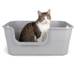 Arenero Para Gatos Plástico, Con Pala - 50x34cm