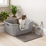 Arenero Para Gatos Plástico, Con Pala - 50x34cm - Imagen 6